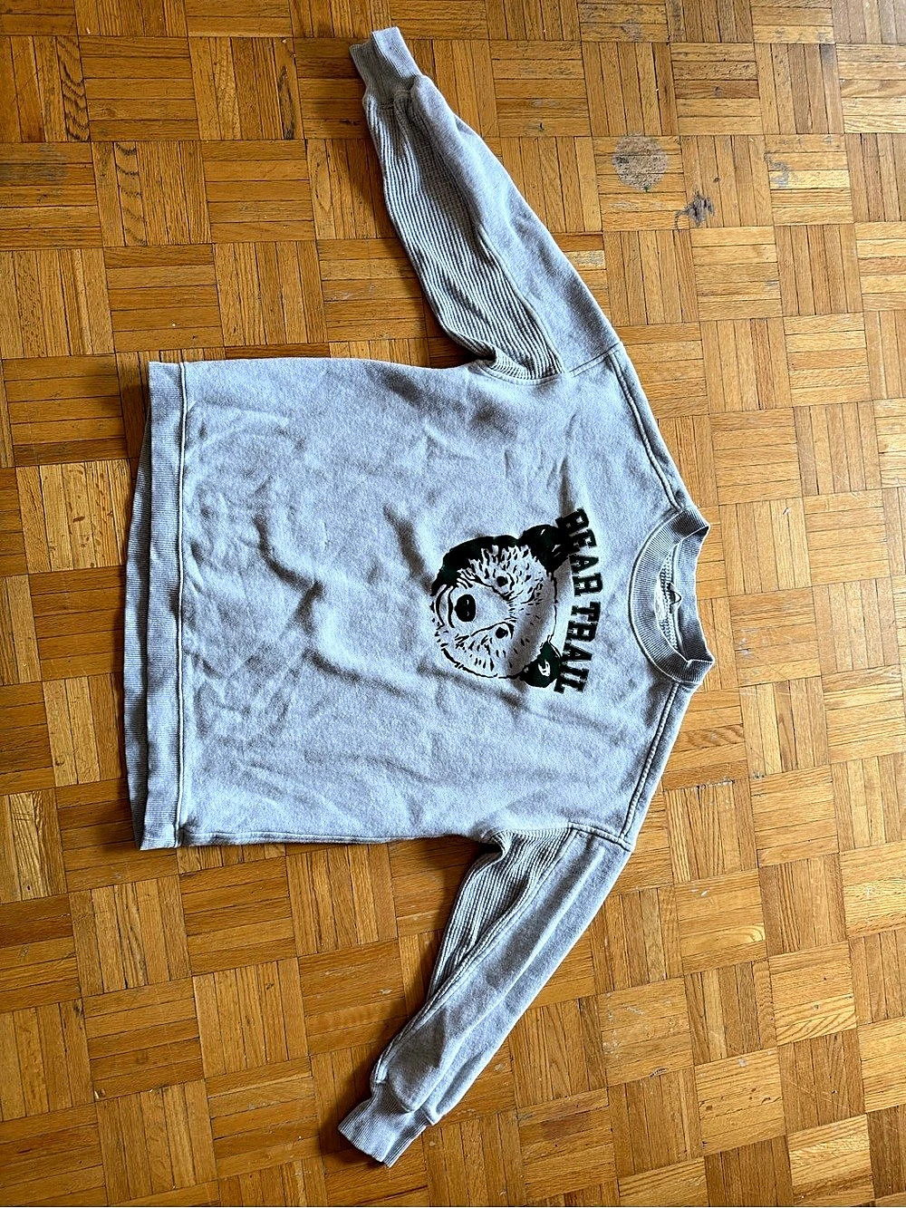 Aerie Bear Trail Graphic Sweatshirt Size XS
